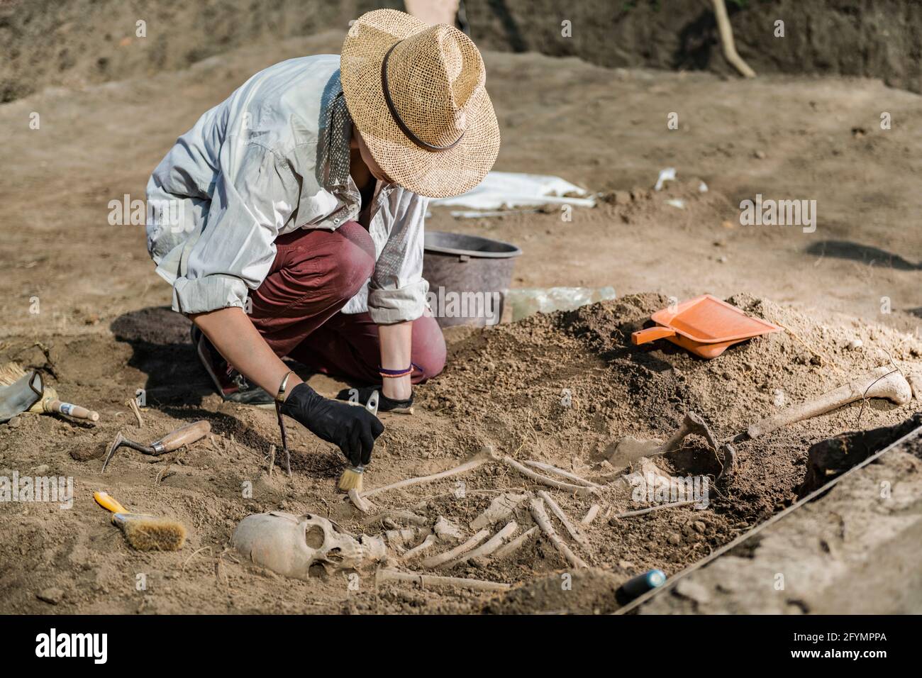 Archaeologist digging human bones hi-res stock photography and images