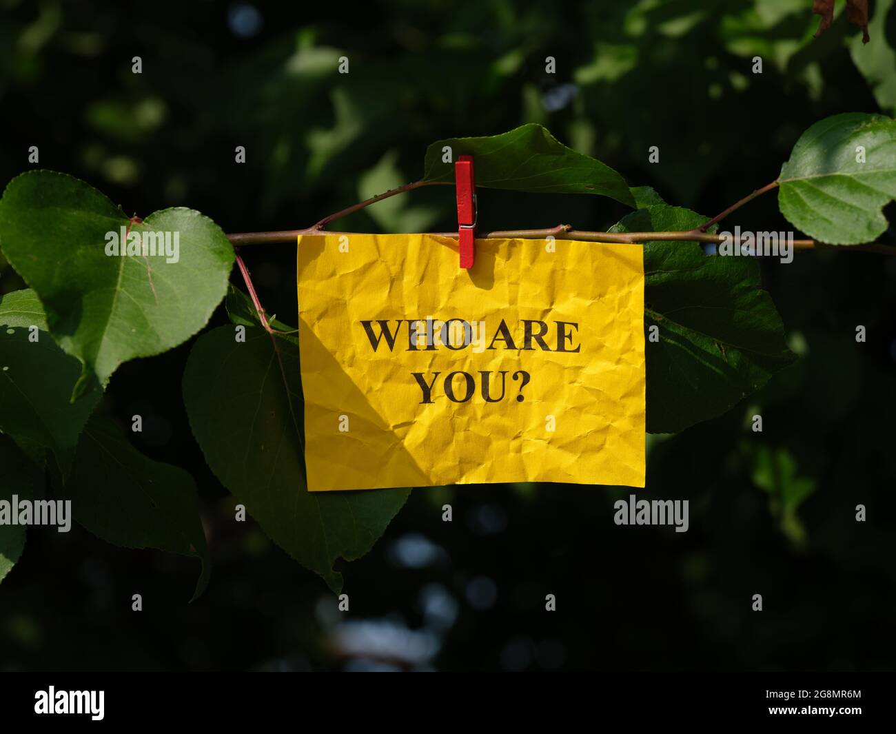 Adhesive note on branch hires stock photography and images Alamy