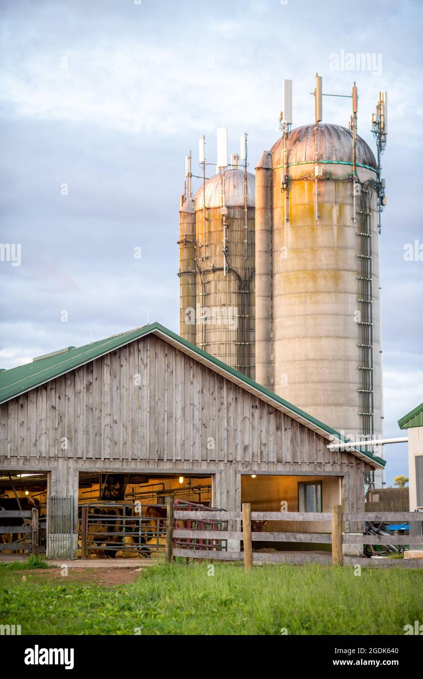 Dairy Processing at Broom Bloom Stock Photo Alamy