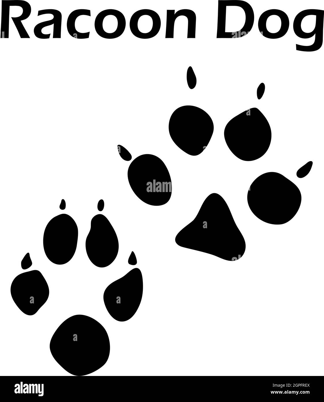 Racoon Dog Footprint Stock Vector Image & Art - Alamy