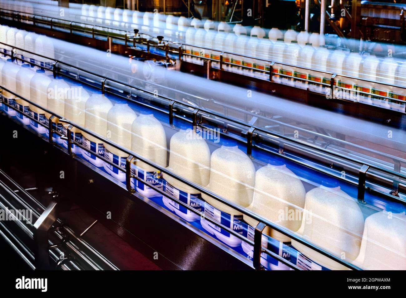 Milk processing plant Stock Photo Alamy