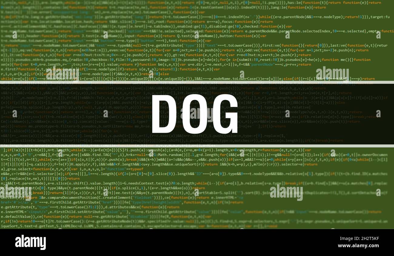 Dog with Digital java code text. Dog and Computer software coding