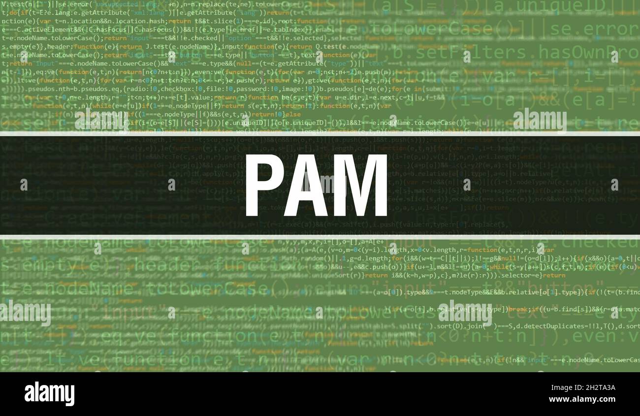 PAM with Digital java code text. PAM and Computer software coding