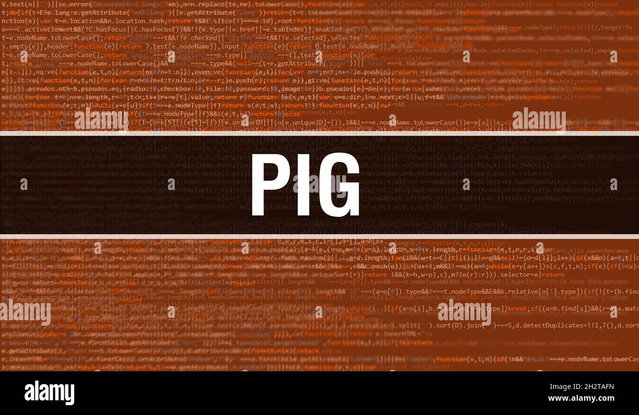 Pig concept with Random Parts of Program Code. Pig with Programming