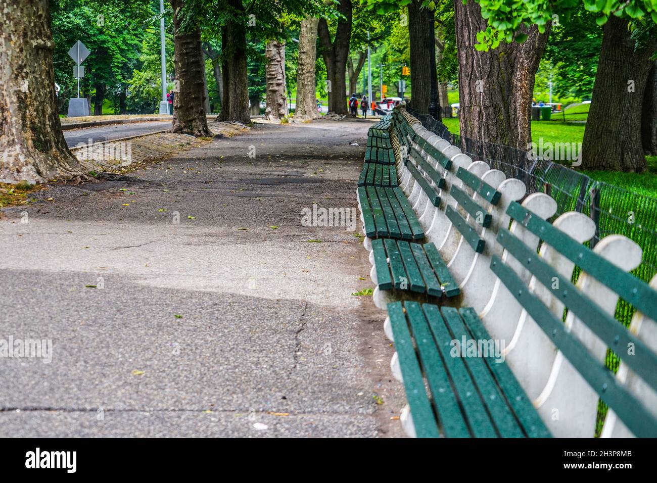 Central Park bench Stock Photo Alamy