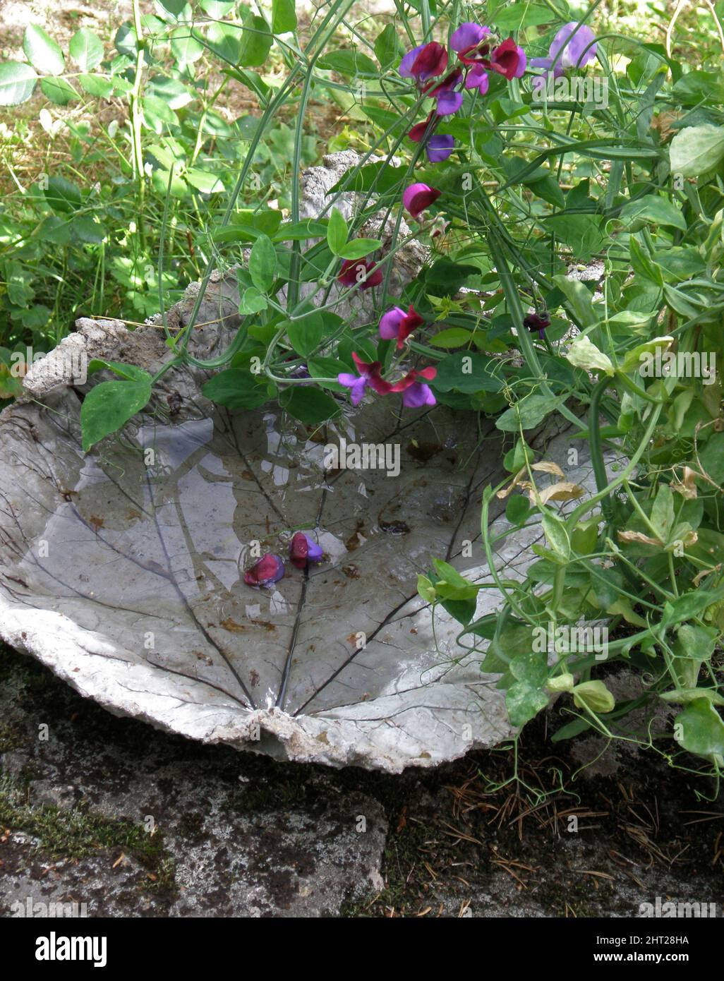 Concrete bird bath Stock Photo Alamy