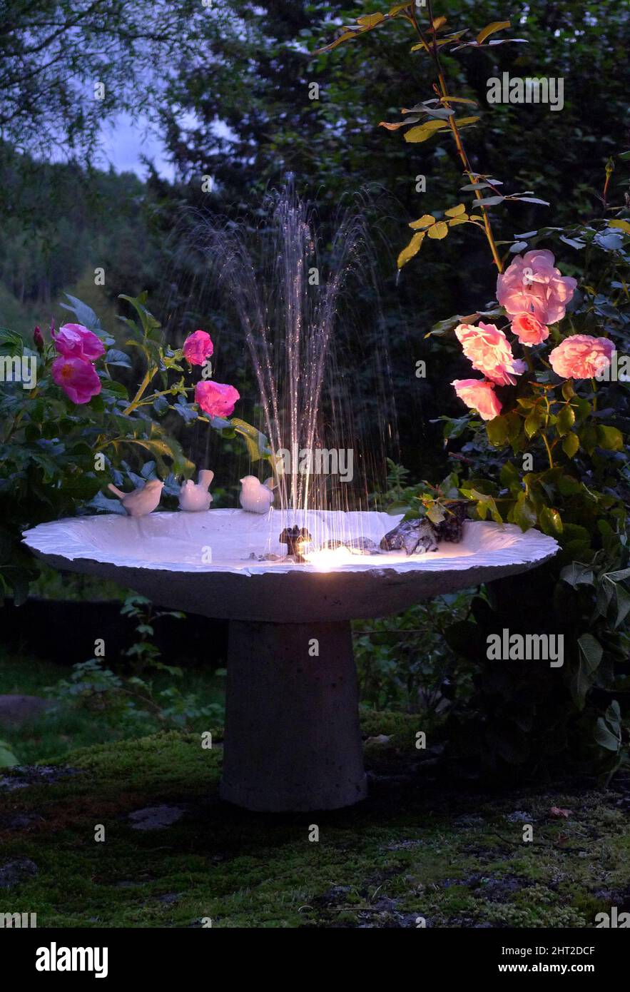 Mini fountain with lighting Stock Photo Alamy