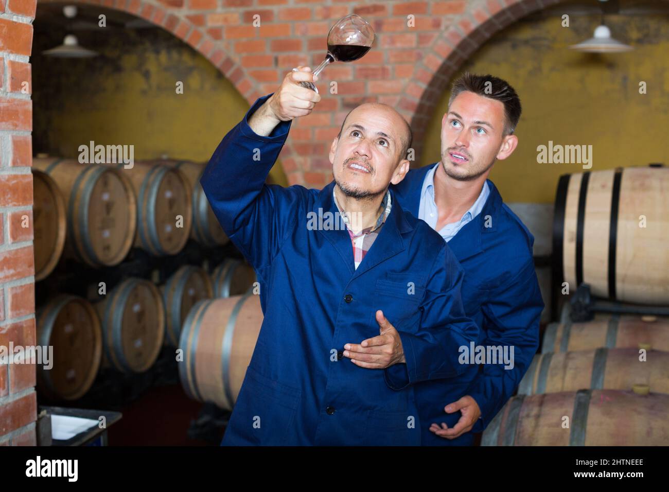 Winery employees checking up wine sample Stock Photo Alamy