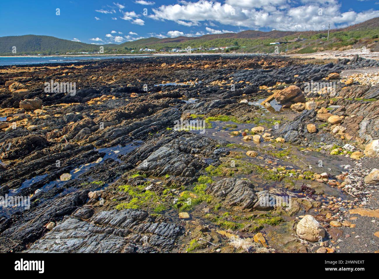 Sisters Beach, Tasmania Stock Photo Alamy