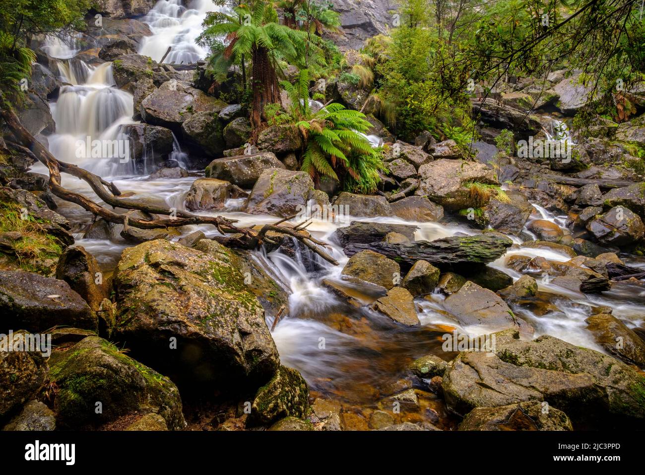 St Columba Falls Stock Photo Alamy