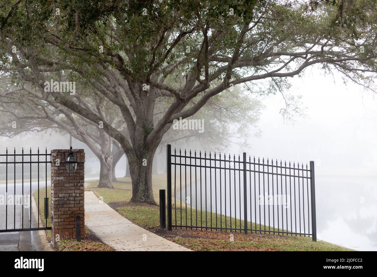 Winter in Florida Stock Photo Alamy