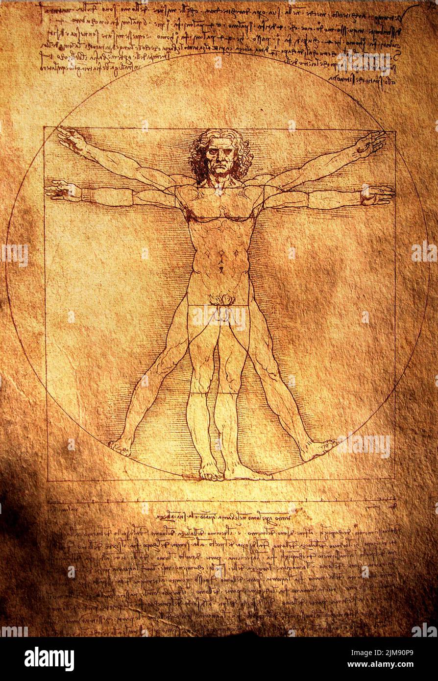 Davinci man hi-res stock photography and images - Alamy