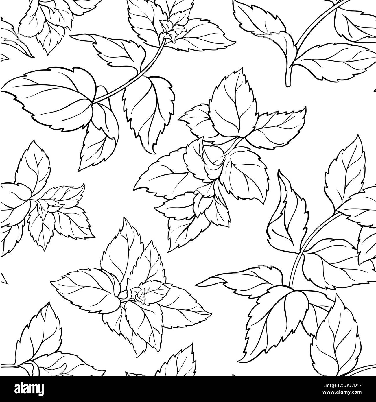 peppermint seamless pattern Stock Photo - Alamy