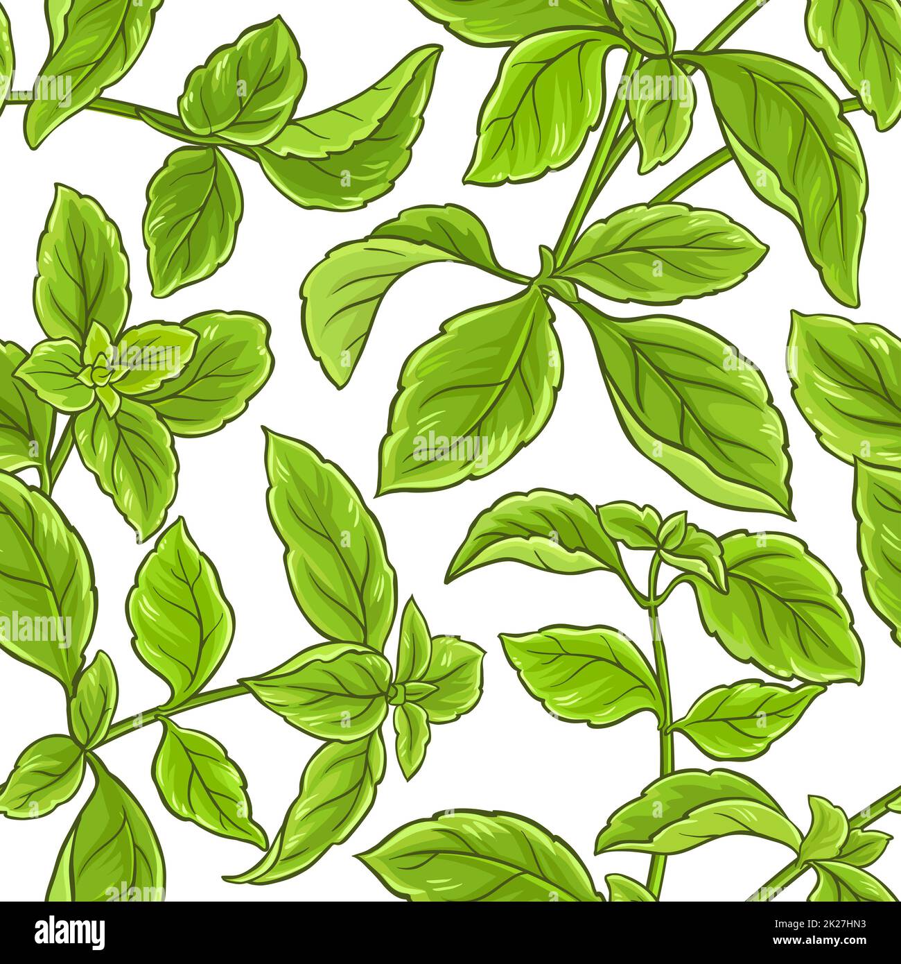 basil plant vector pattern Stock Photo Alamy