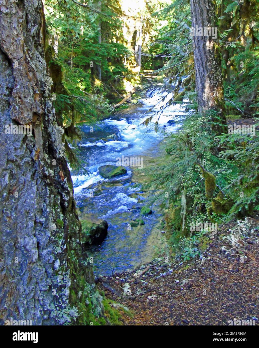 Kousah falls hires stock photography and images Alamy