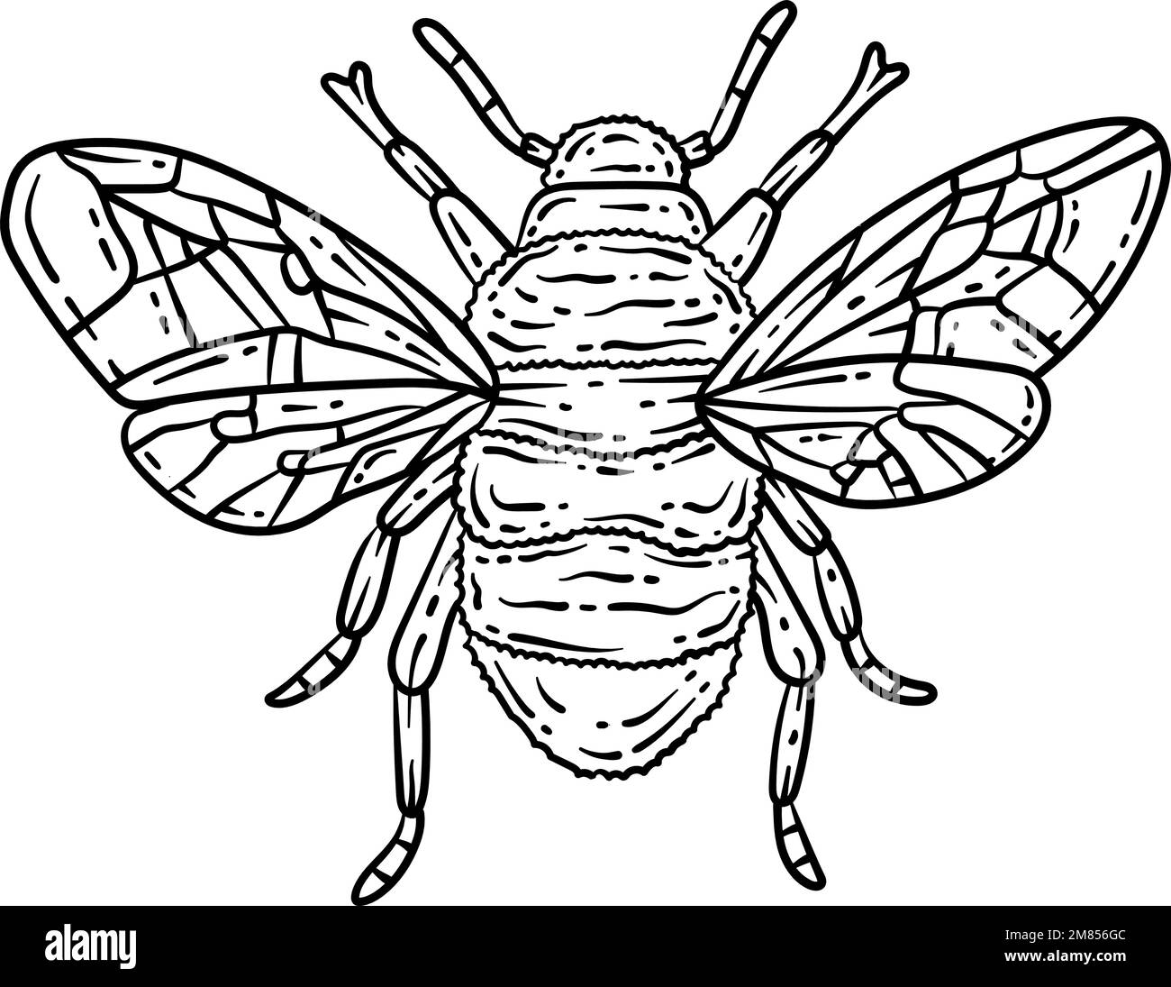 Bee Spring Coloring Page for Adults Stock Vector Image & Art Alamy