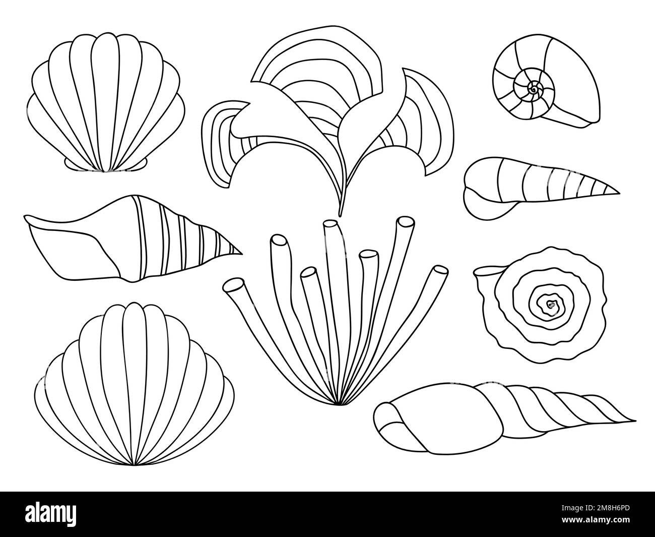 Vector sea shell set Stock Vector Image & Art Alamy