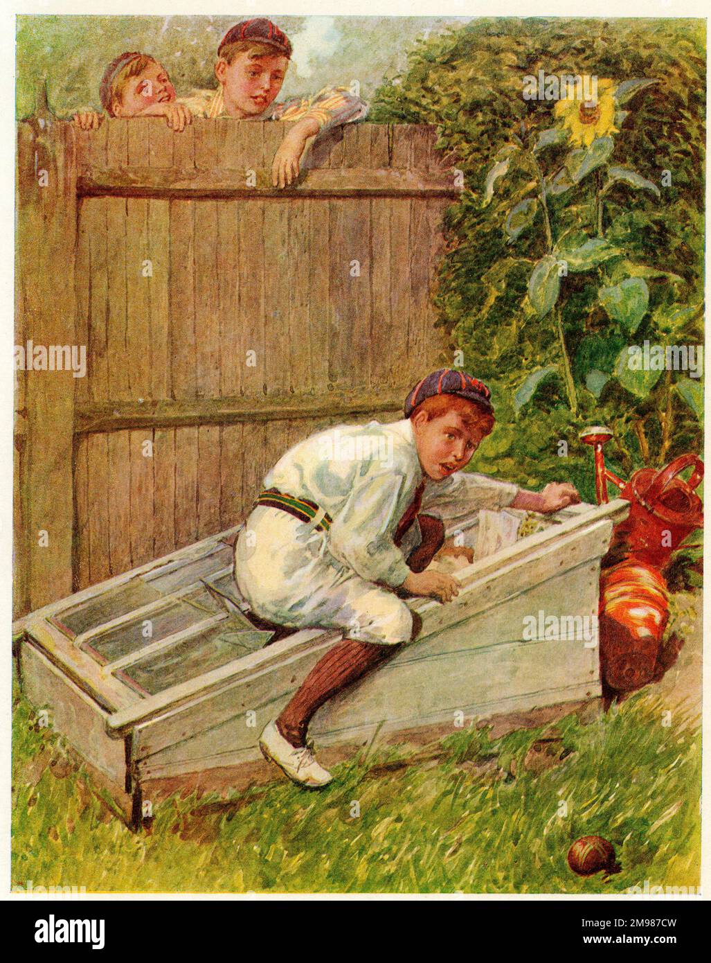 Cricket The Lost Ball Stock Photo Alamy