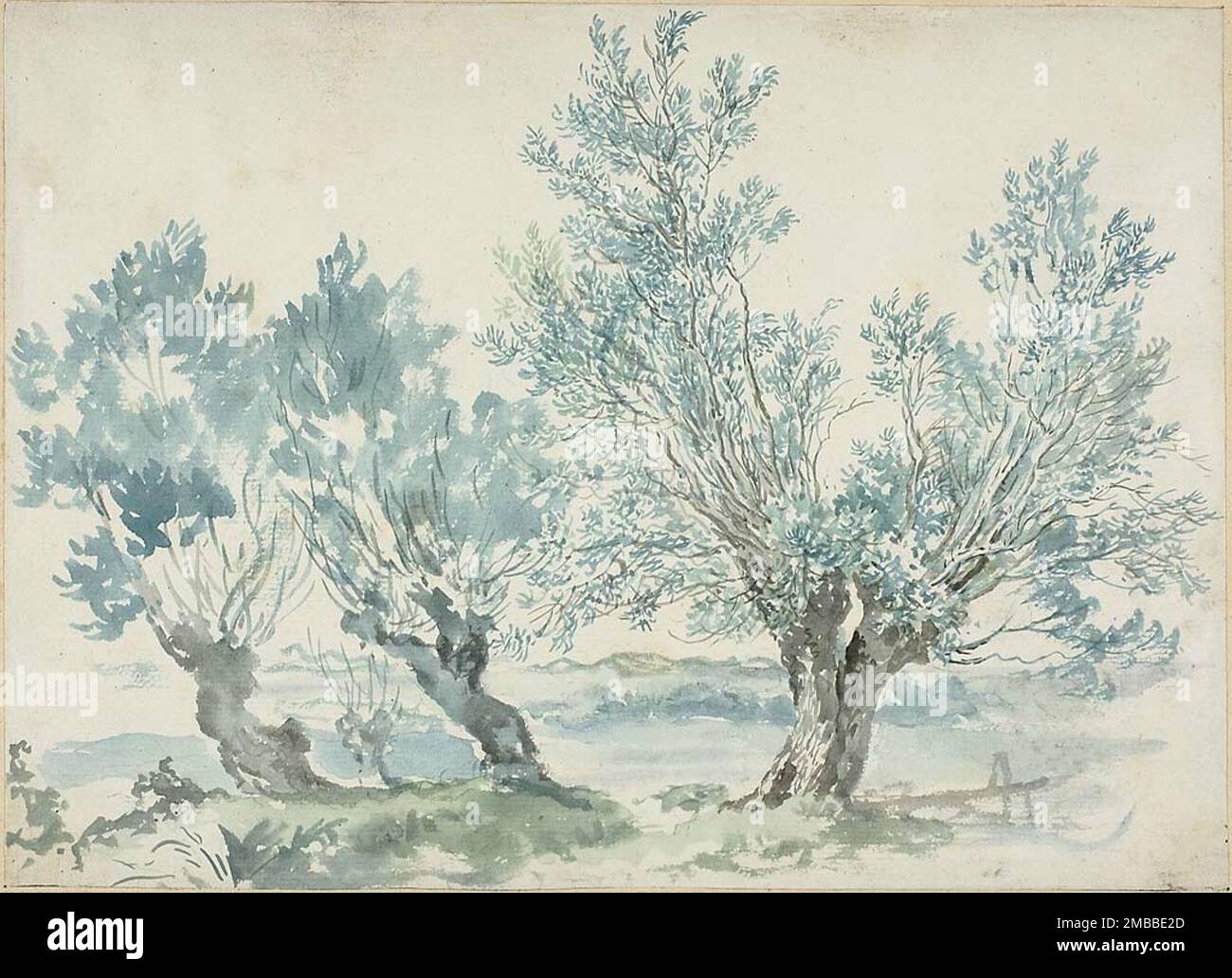 Three Willow Trees, n.d Stock Photo Alamy