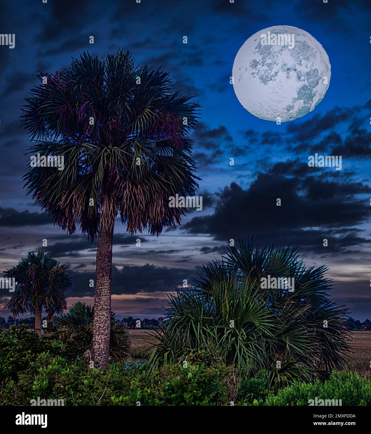 Full Moon Over Florida Stock Photo Alamy