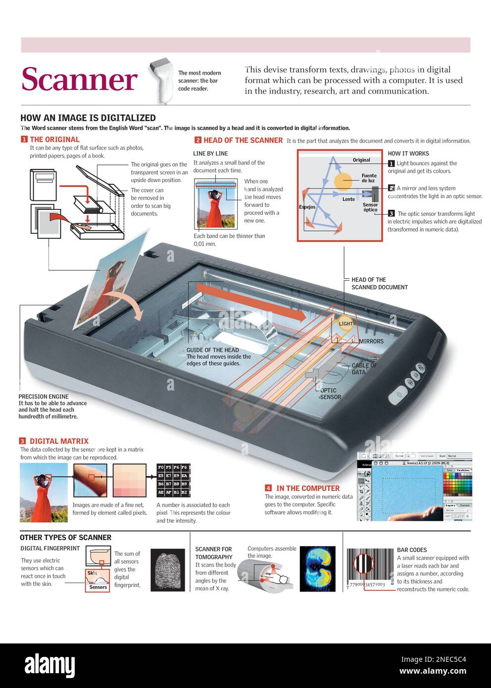 Infographics of the process of digitizing an image with a desktop