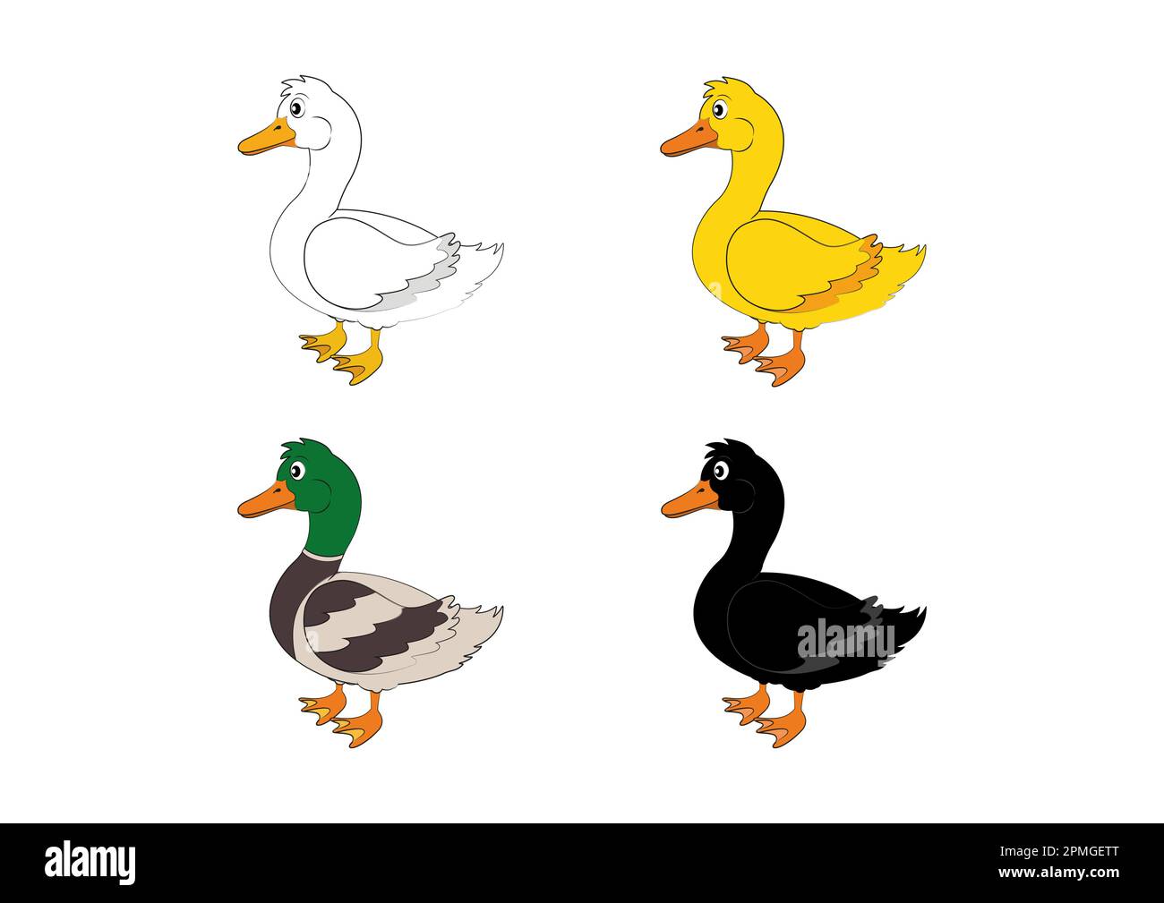 Different color ducks. Vector duck Stock Vector Image & Art Alamy