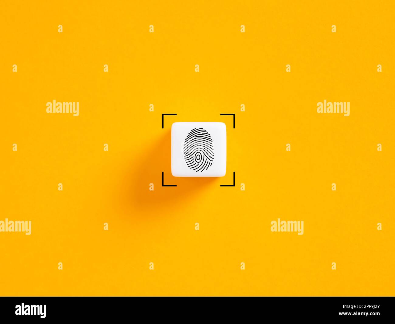 Fingerprint scan push button. Encryption and access control system for