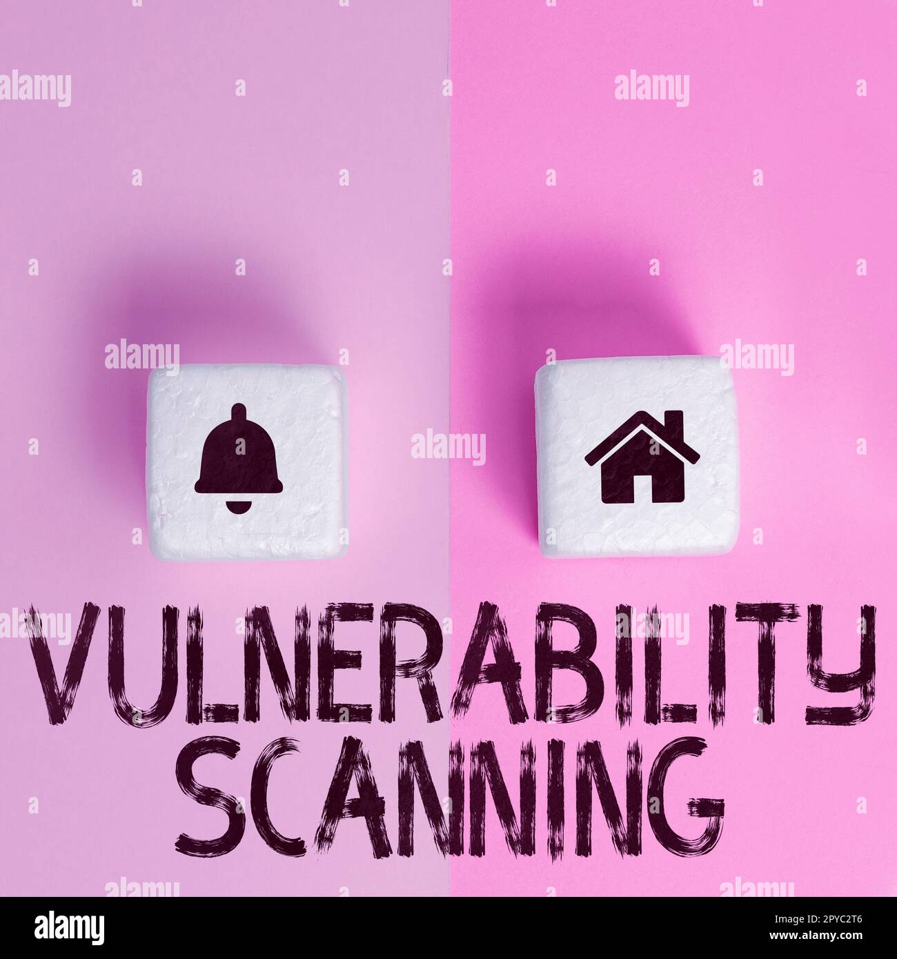 Conceptual display Vulnerability Scanning. Business showcase defining