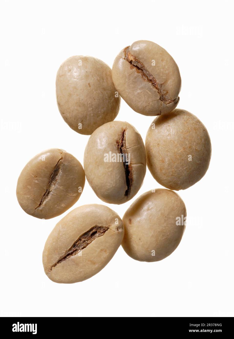 Robusta coffee beans, Java, Indonesia Stock Photo Alamy