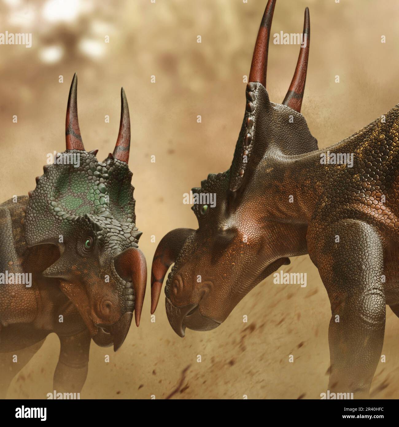 Two Einiosaurus dinosaurs fighting Stock Photo Alamy