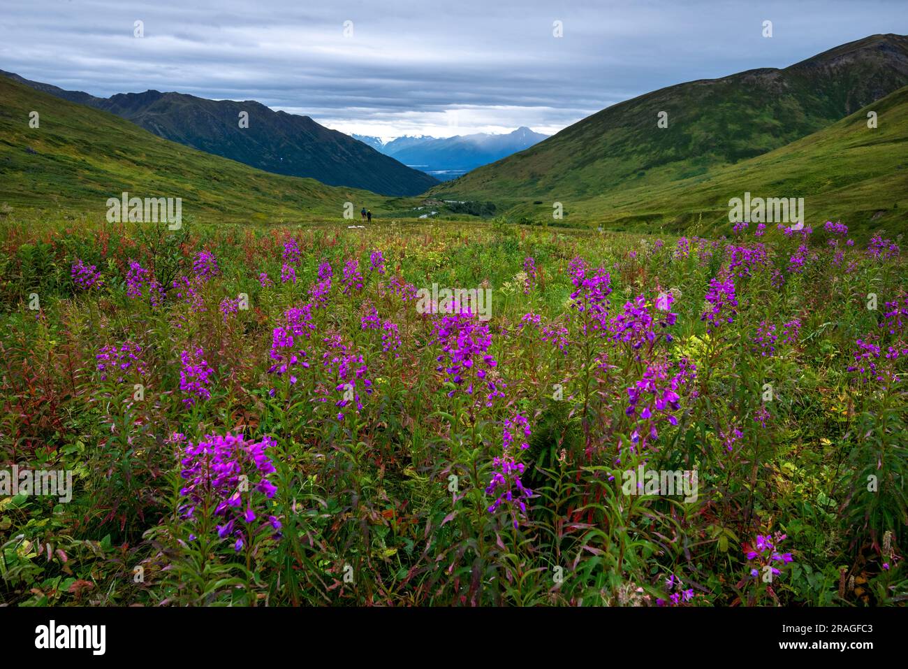 Hatcher Pass, Alaska Stock Photo Alamy