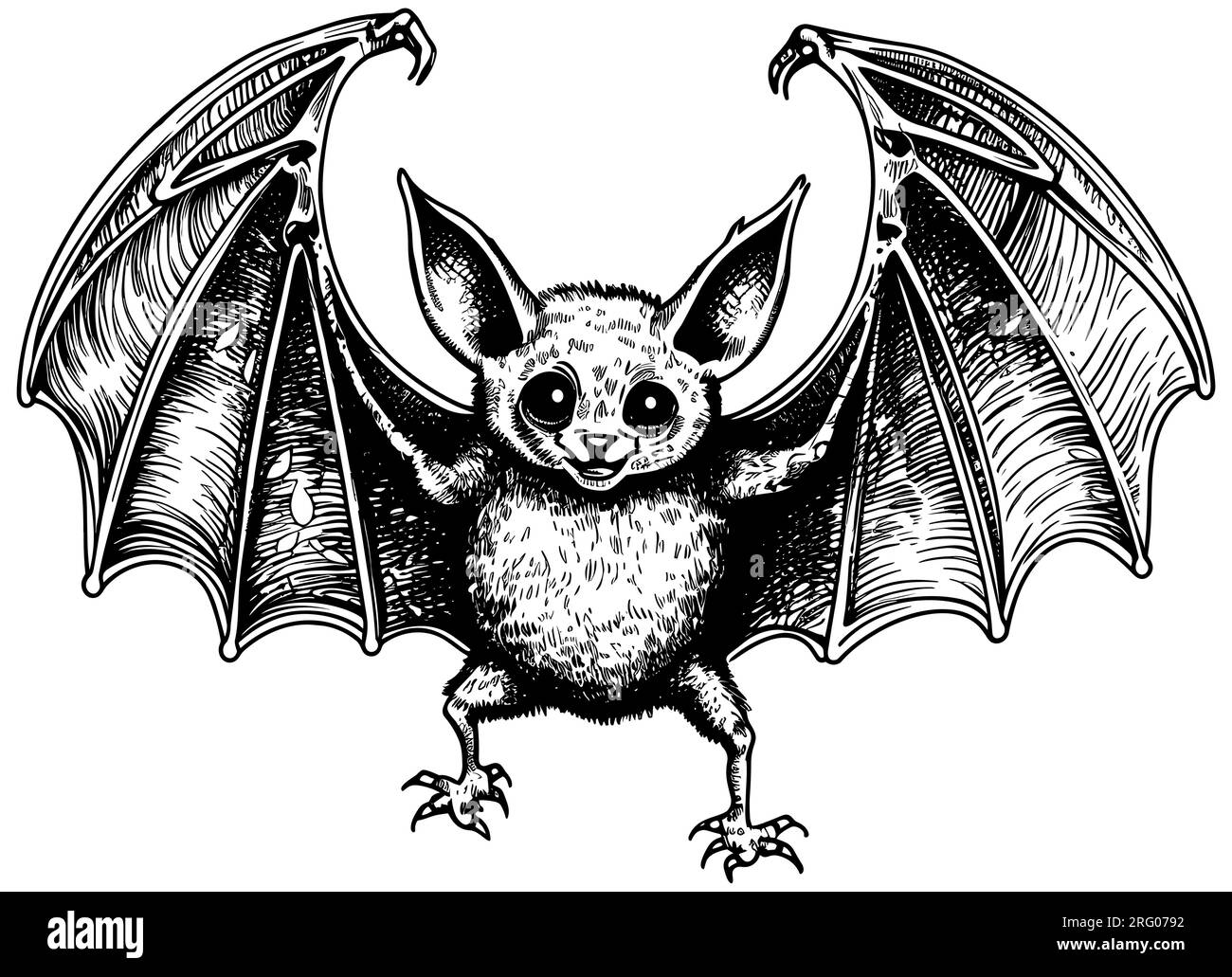 Bat Black and White Stock Vector Image & Art Alamy