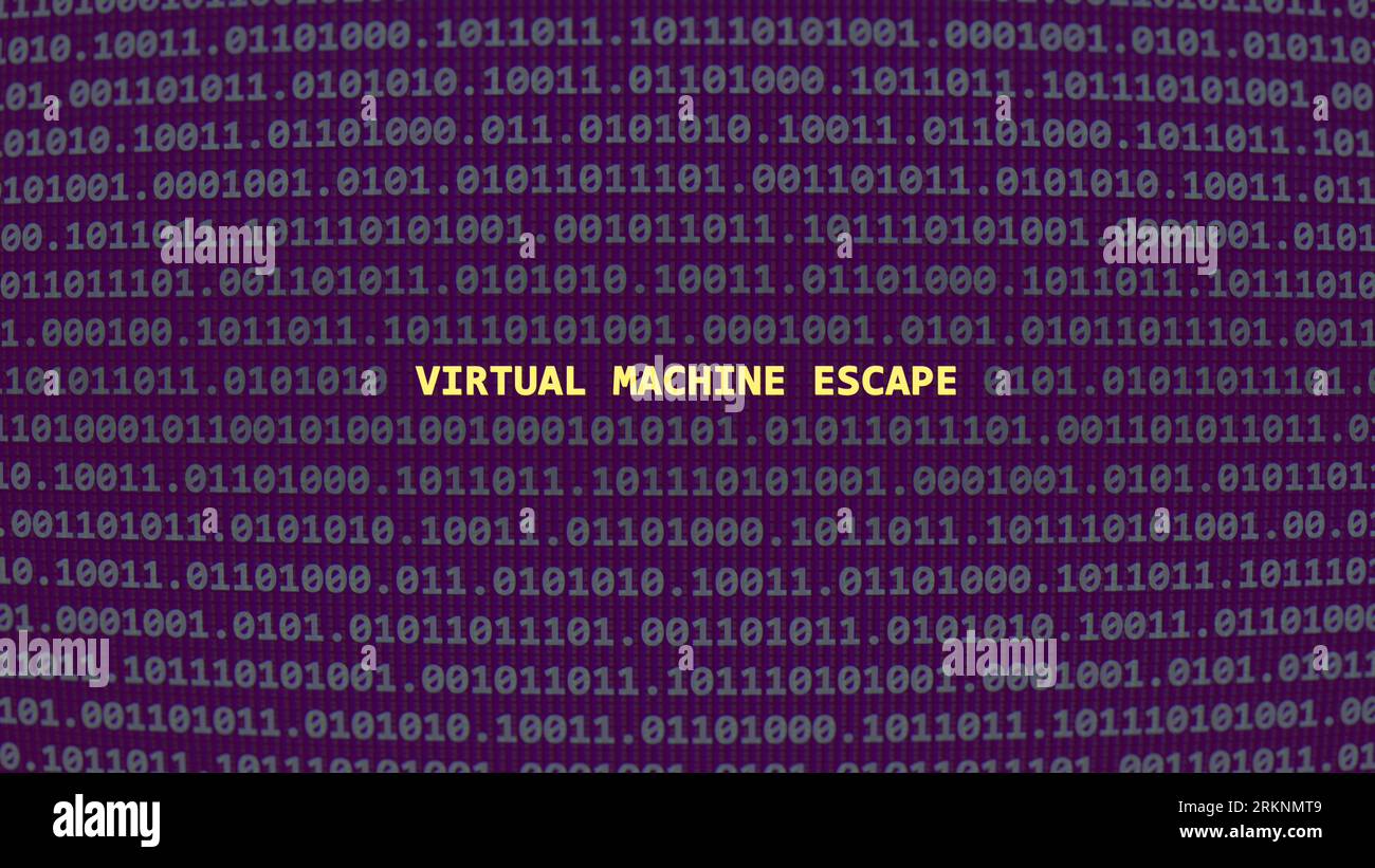Cyber attack virtual machine escape. Vulnerability text in binary