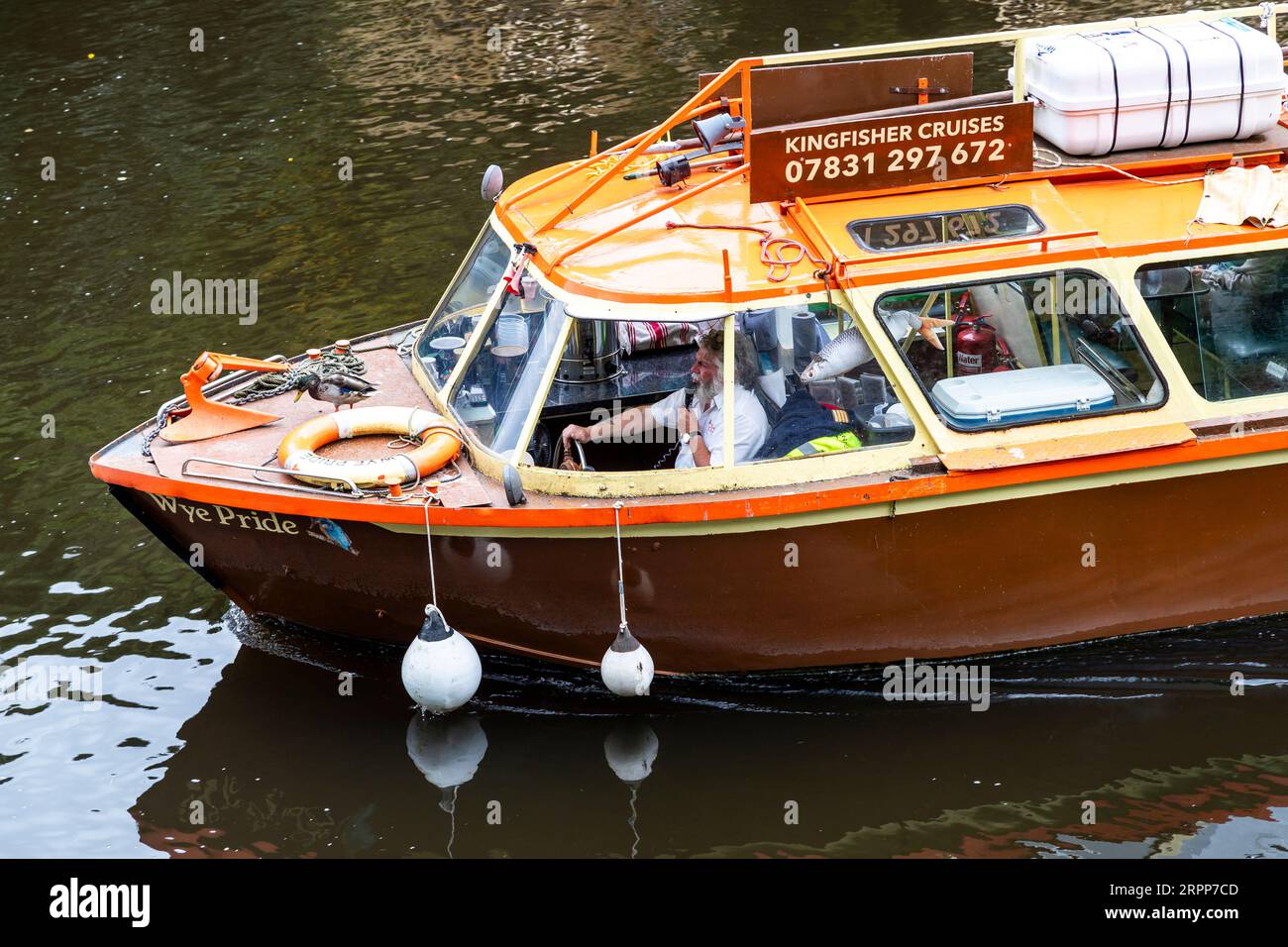 Kingfisher river wye hires stock photography and images Alamy