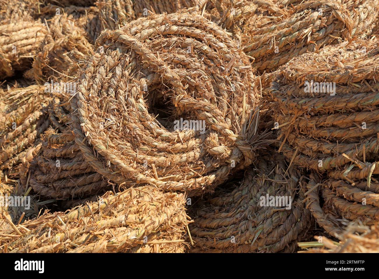 Straw rope piled up Stock Photo Alamy