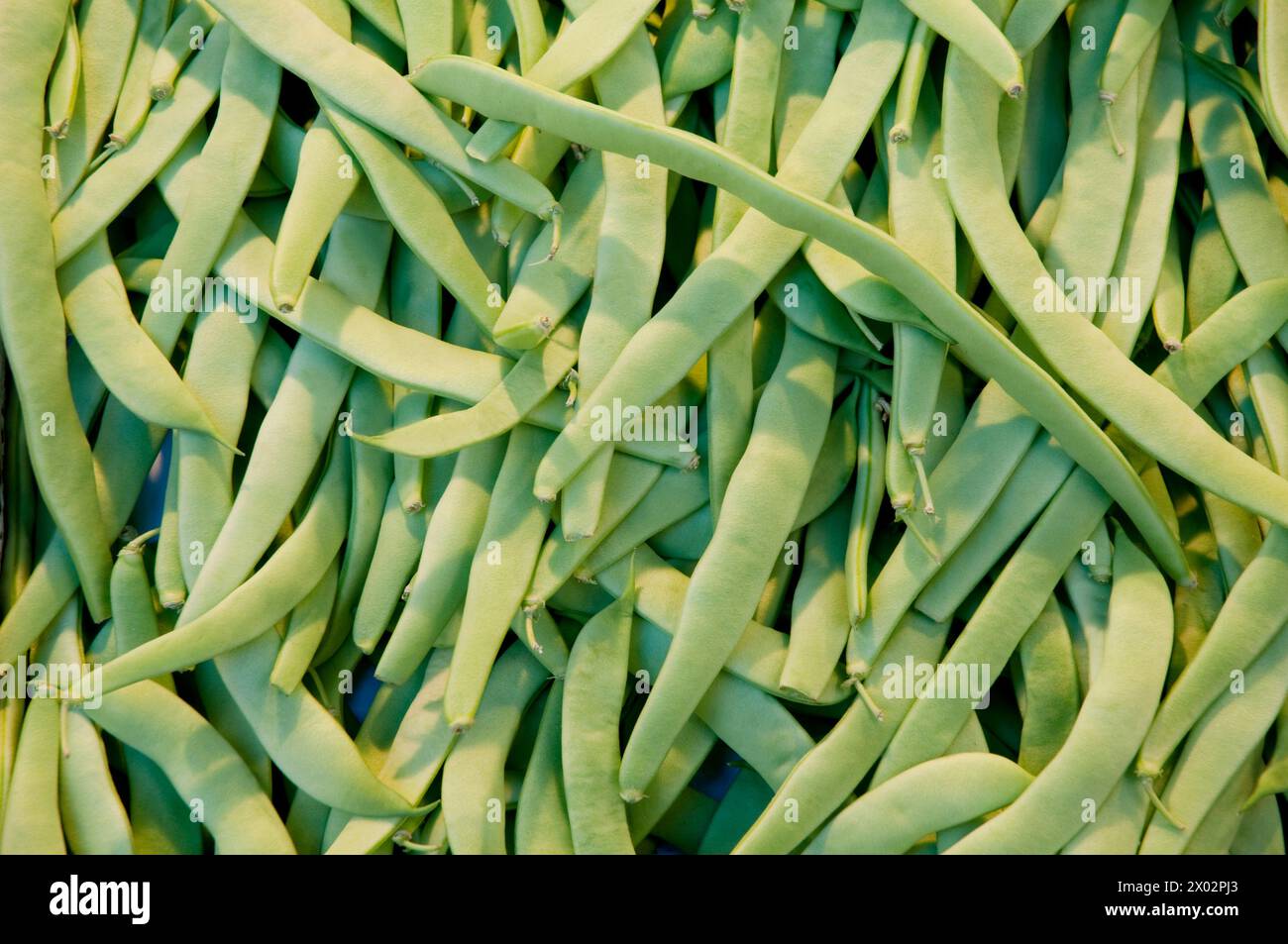 Agricultura mediterranea hires stock photography and images Alamy