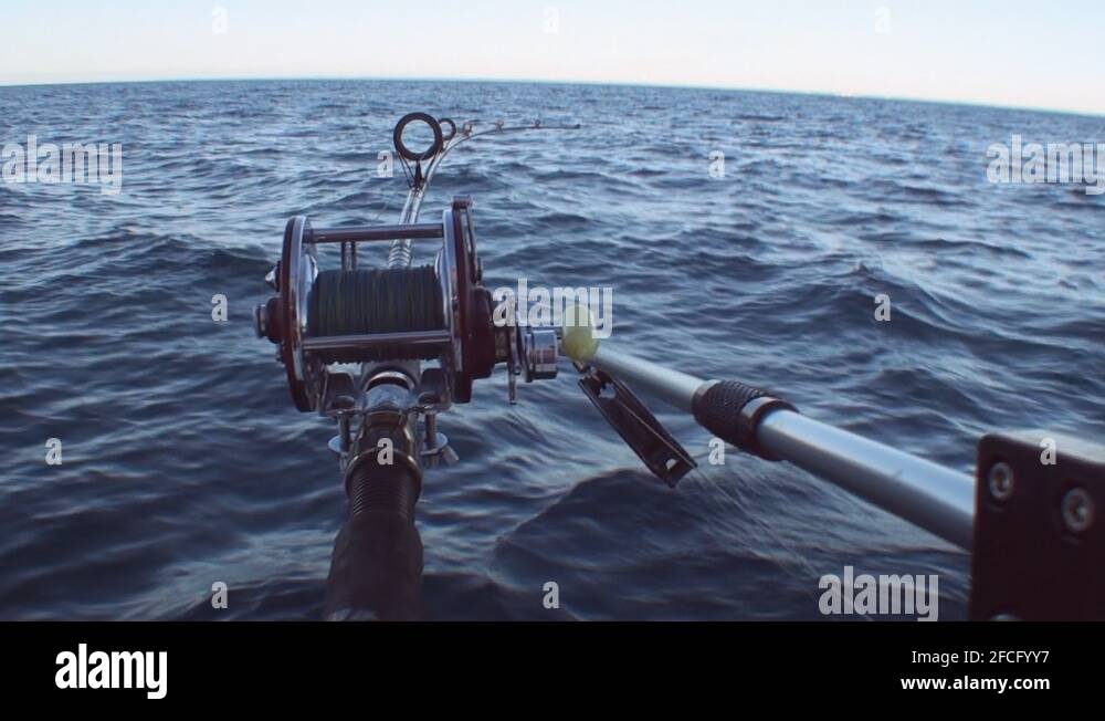 Downrigger Stock Videos & Footage HD and 4K Video Clips Alamy