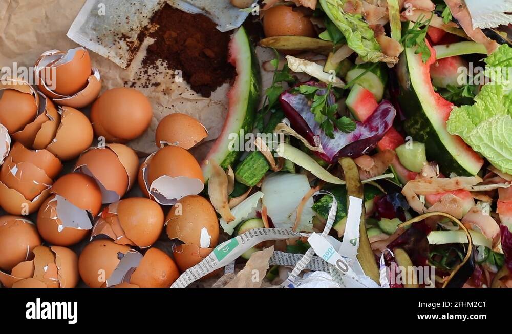 Compost eggshells Stock Videos & Footage HD and 4K Video Clips Alamy