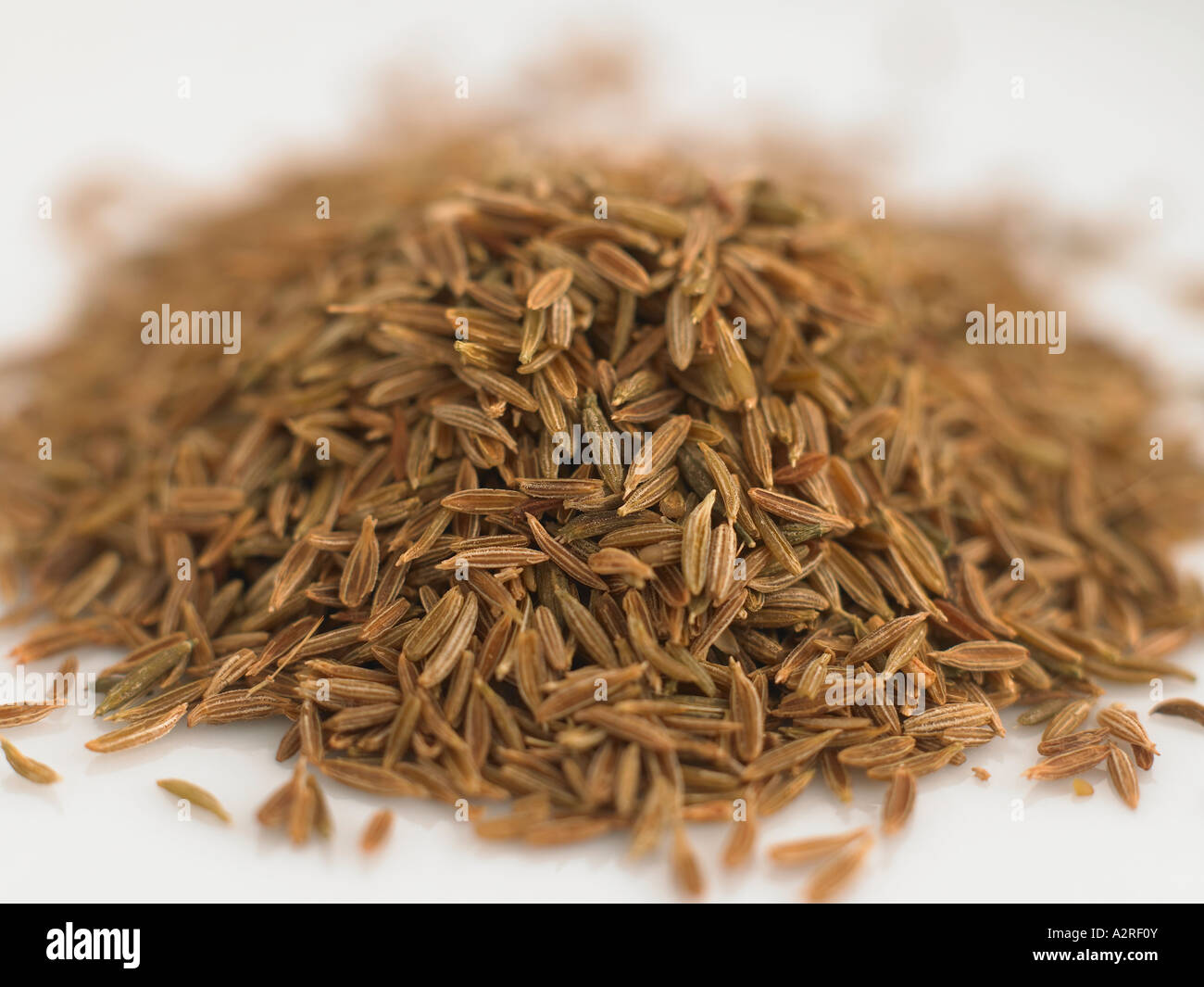 Bitter cumin hires stock photography and images Alamy