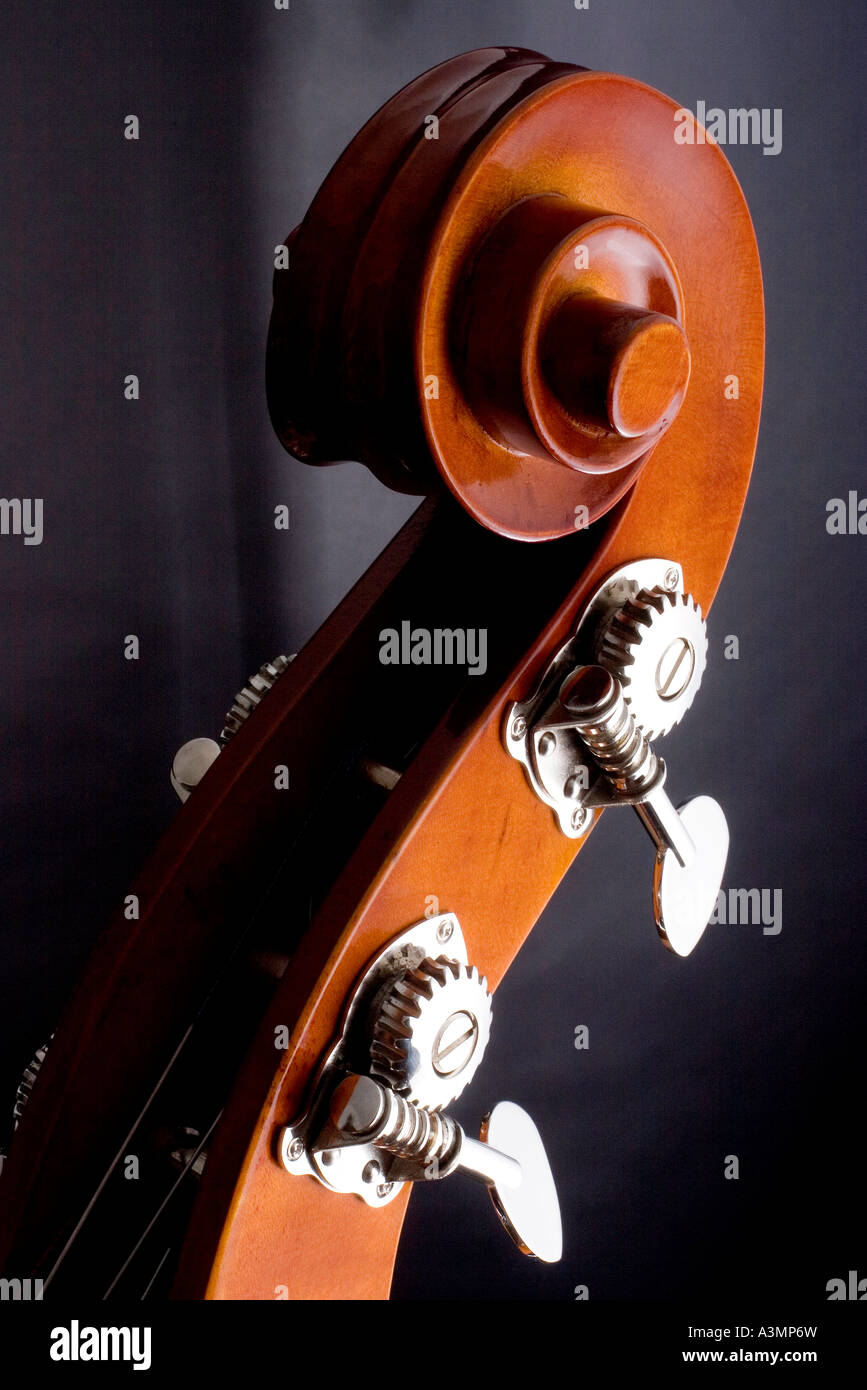 Double bass head Stock Photo Alamy