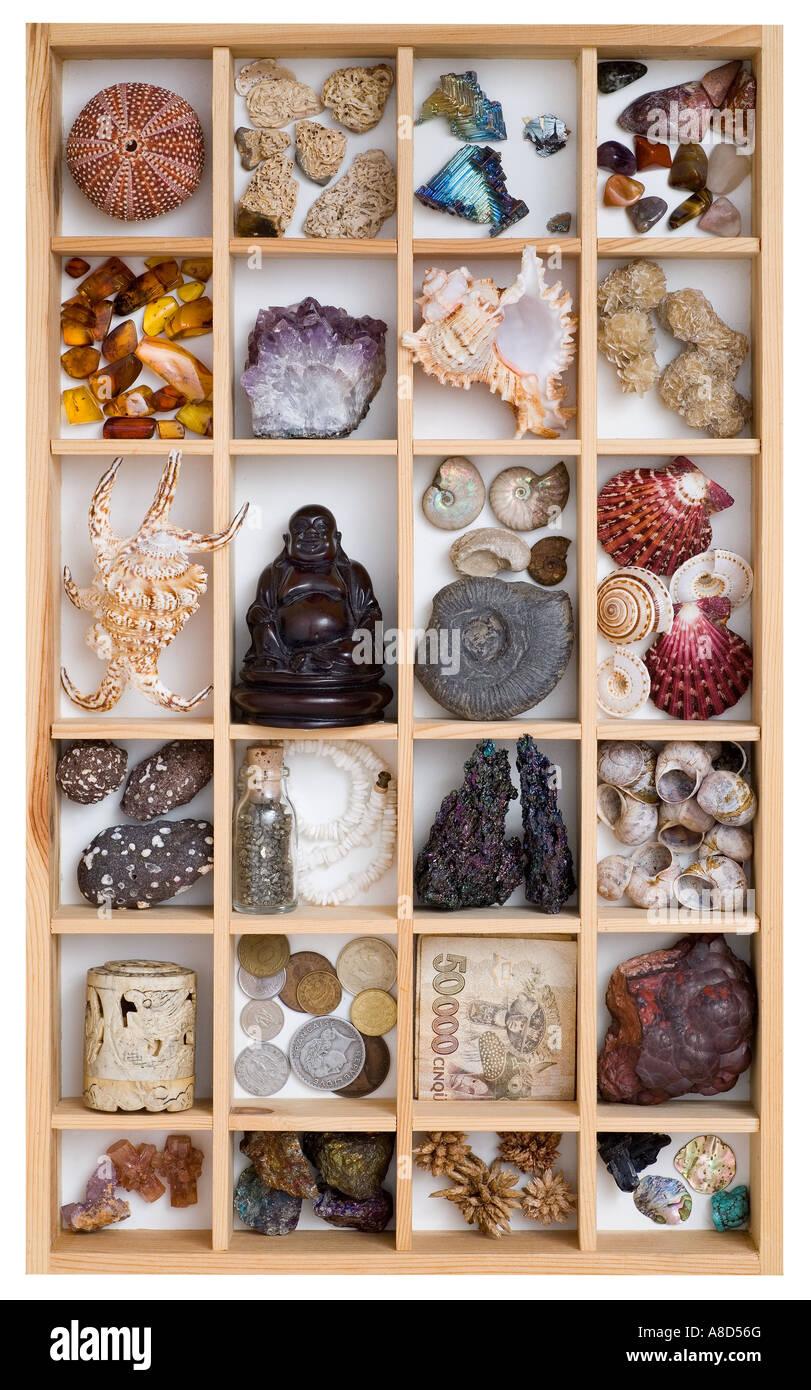 collection of various items including minerals shells fossils carvings
