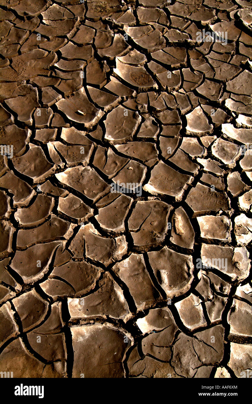 dried up river bed Stock Photo Alamy