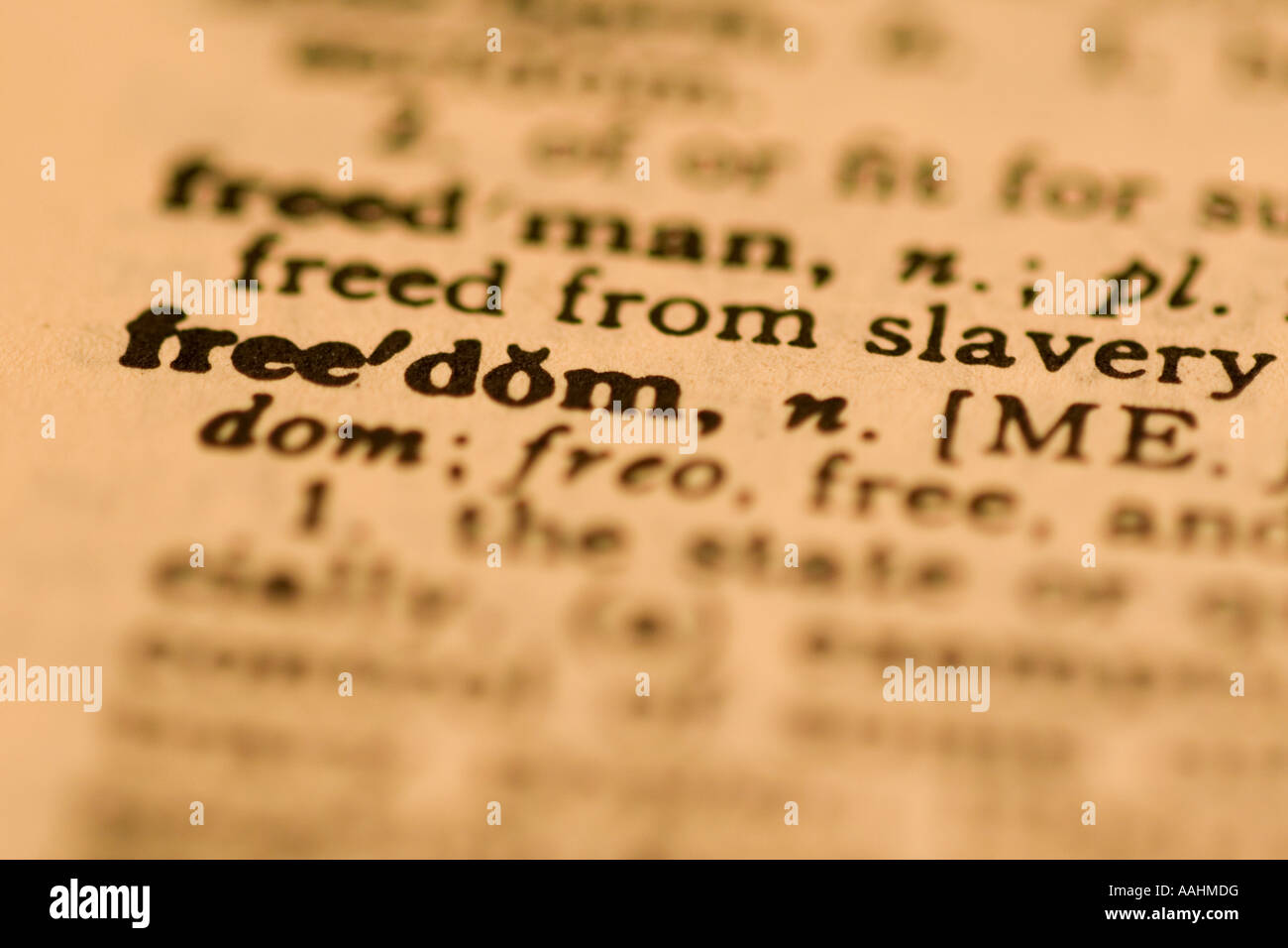 dictionary entry Stock Photo, Royalty Free Image 12635547 Alamy