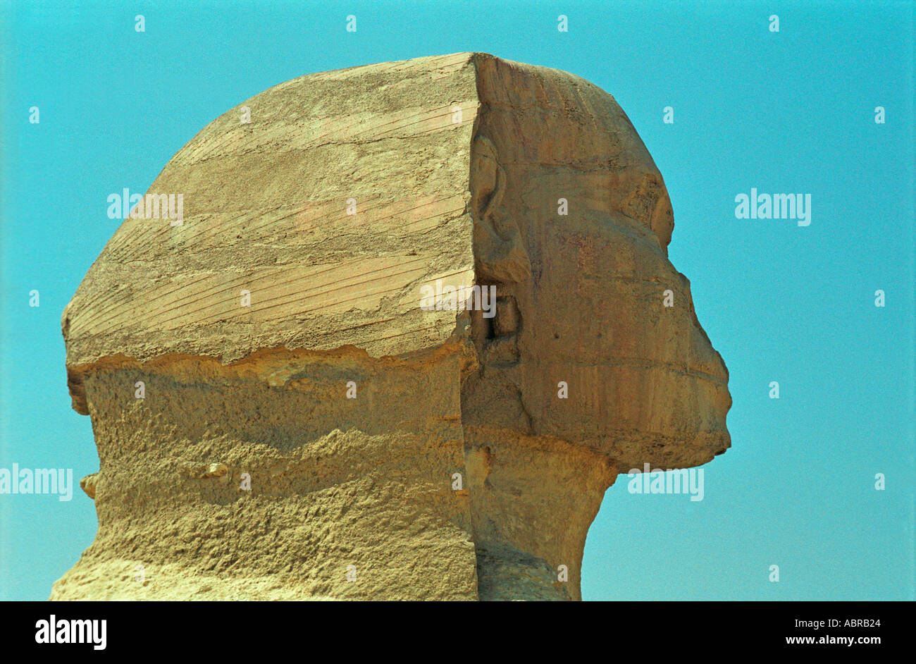 Sphynx head Stock Photo Alamy