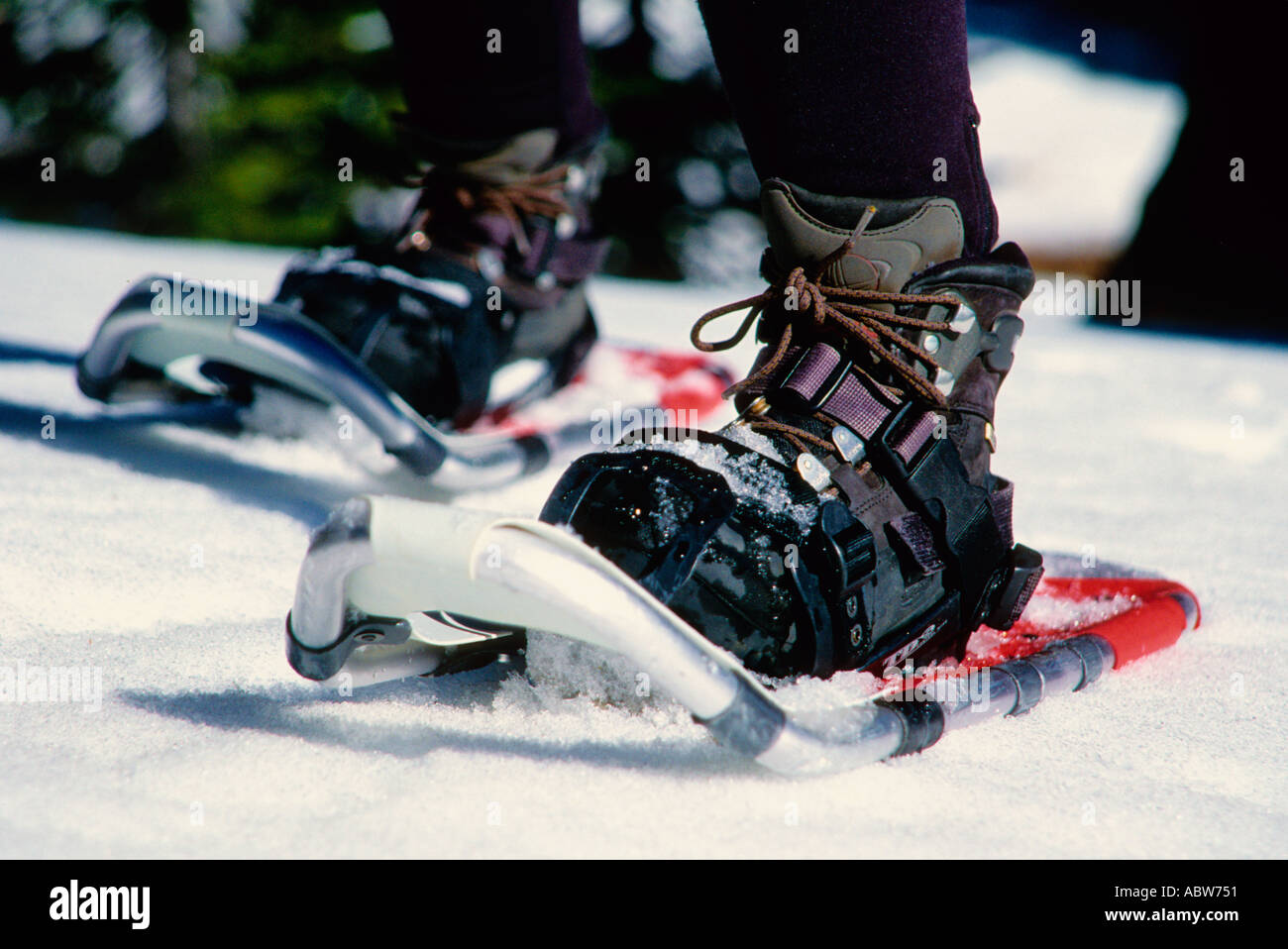 Snowshoeing mammoth lakes hires stock photography and images Alamy