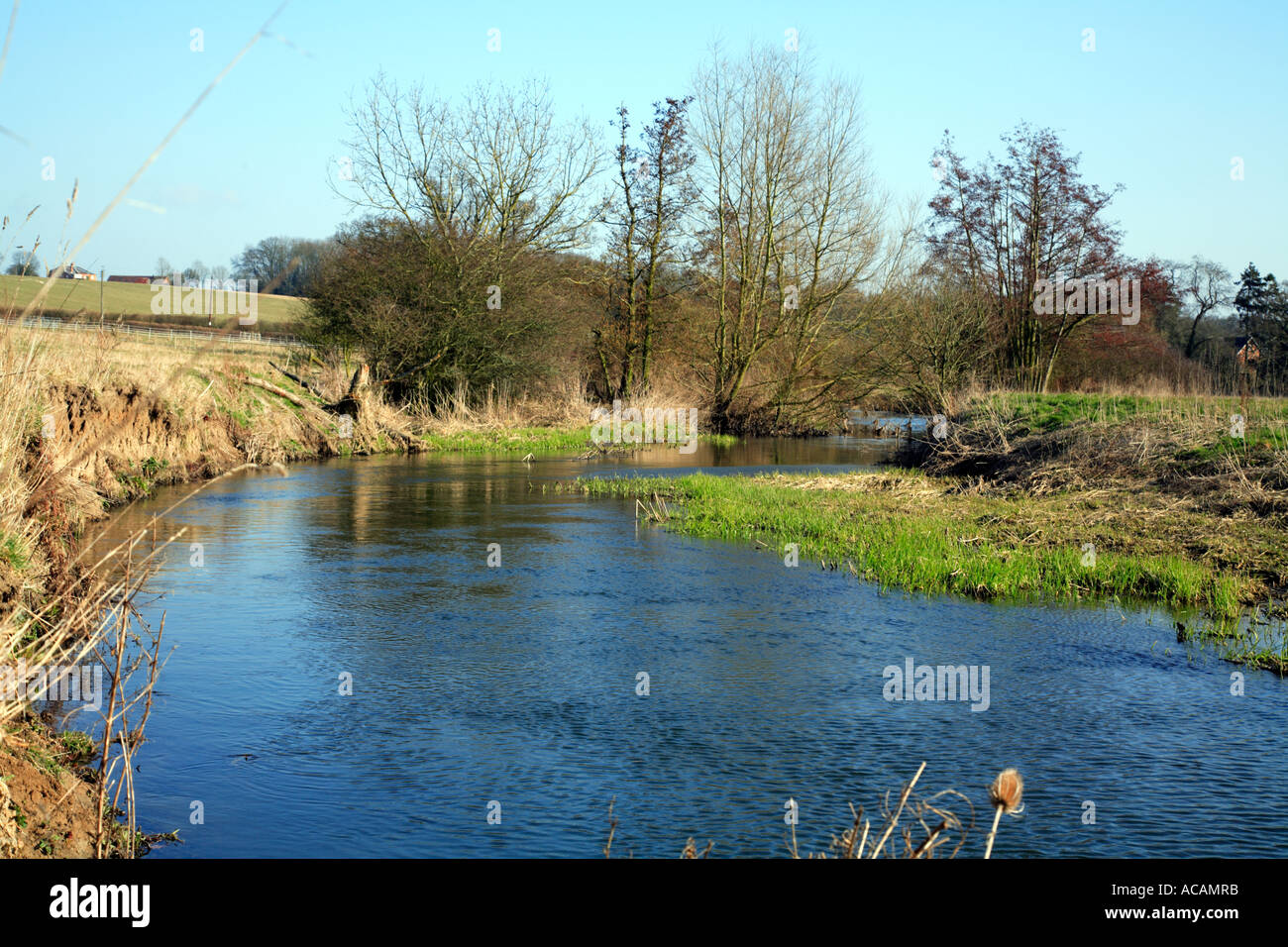 River Loddon in Spring 2 Stock Photo Alamy