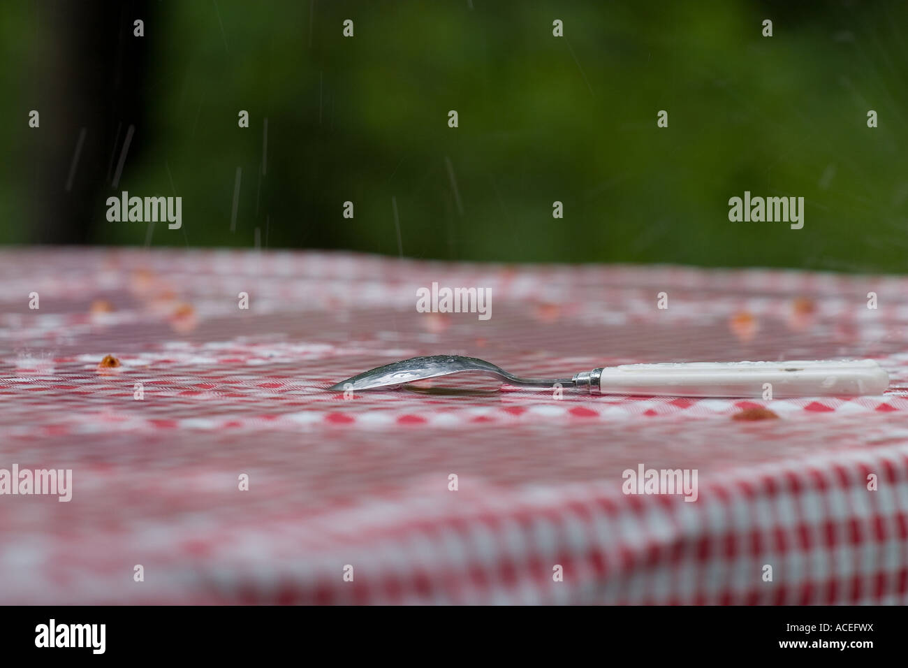 Rain on picnic table Stock Photo Alamy