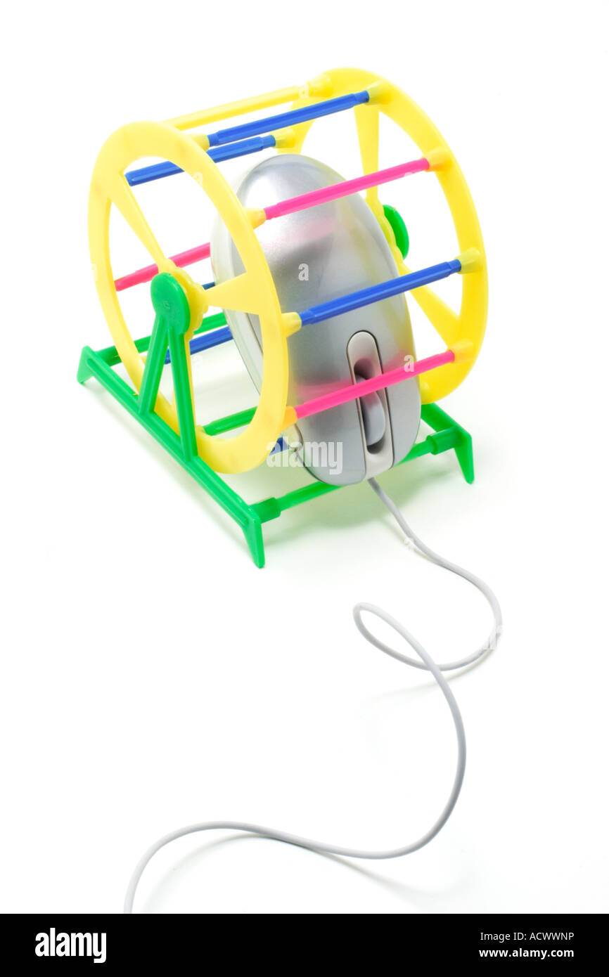 Computer Mouse in Pet Exercise Wheels Stock Photo Alamy