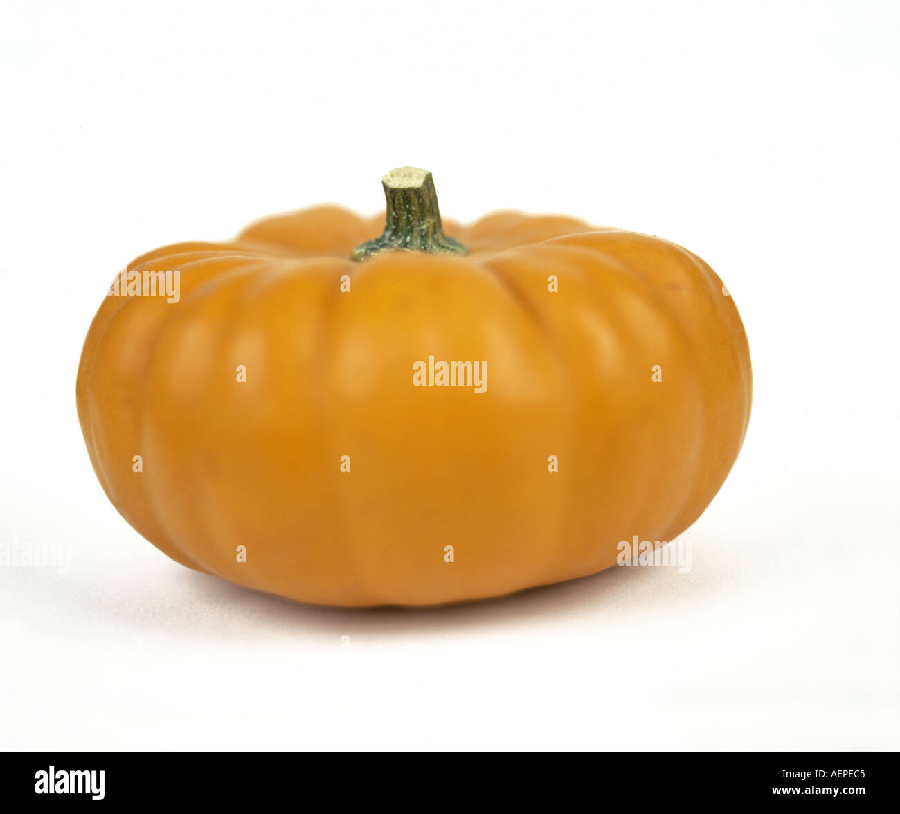 Colourful pumpkins Cut Out Stock Images & Pictures Alamy