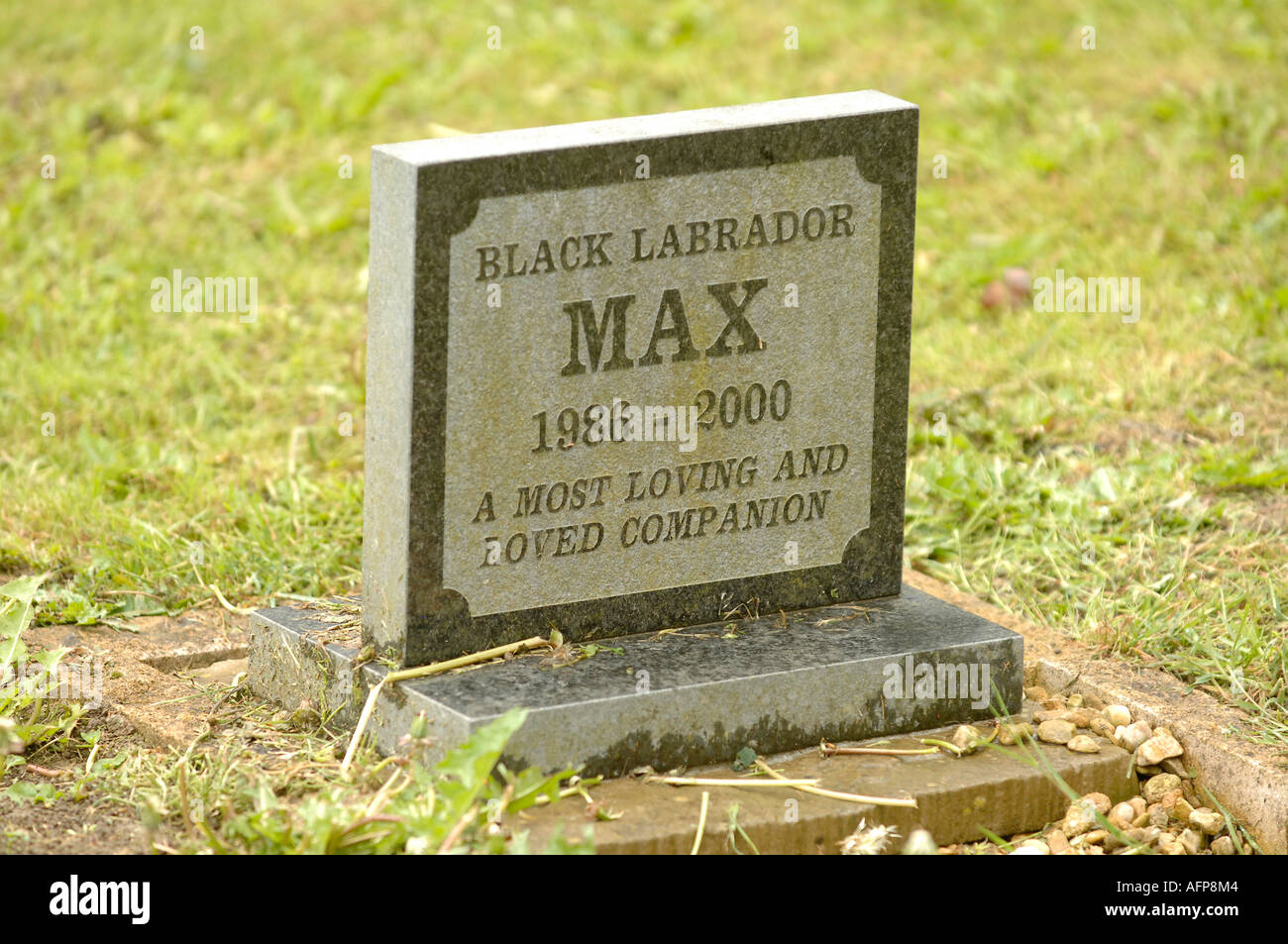 Dog Grave Stock Photos & Dog Grave Stock Images Alamy